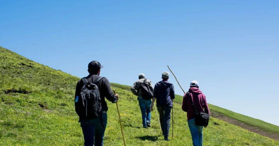 Top Group Activities in Glendale for an Unforgettable Day Out