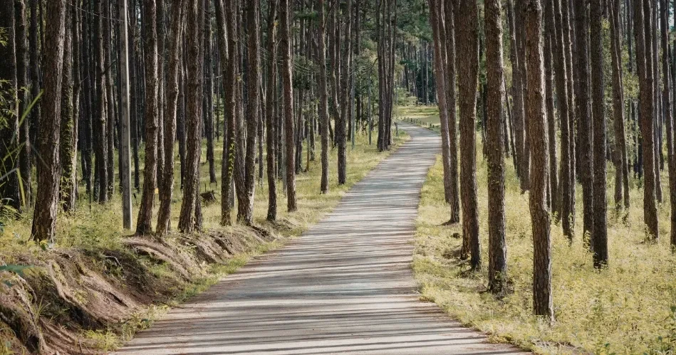 Best Outdoor Things to Do in Glendale for Nature Lovers