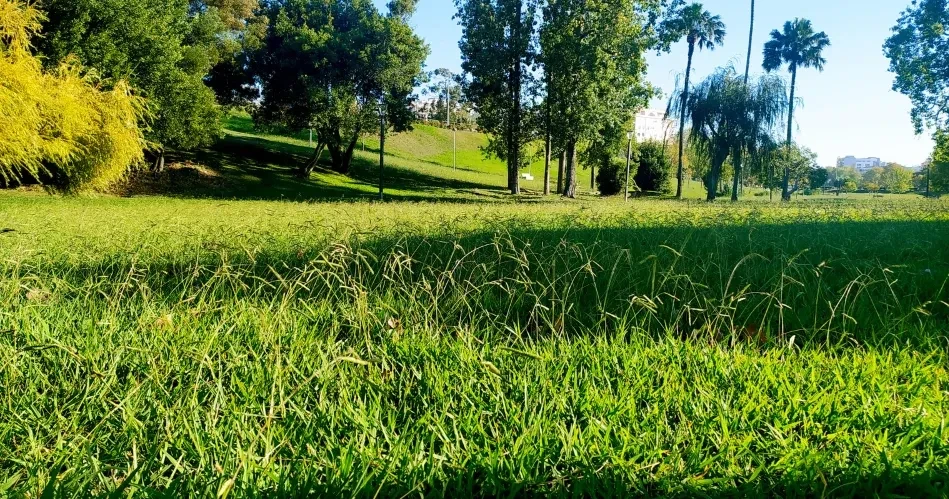 Best Outdoor Things to Do in Glendale for Nature Lovers