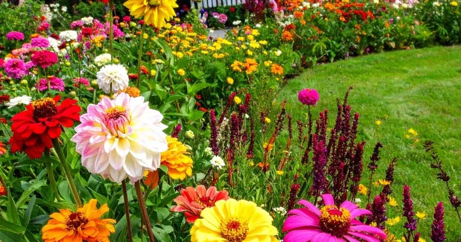 Best Outdoor Things to Do in Glendale for Nature Lovers